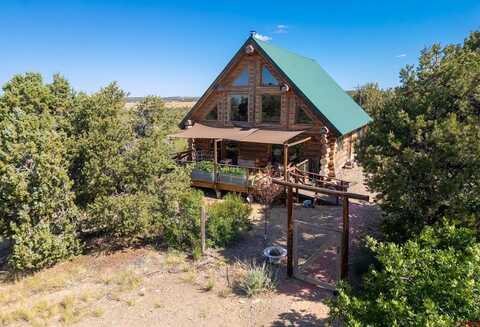 16104 Road 28.2, Dolores, CO 81323
