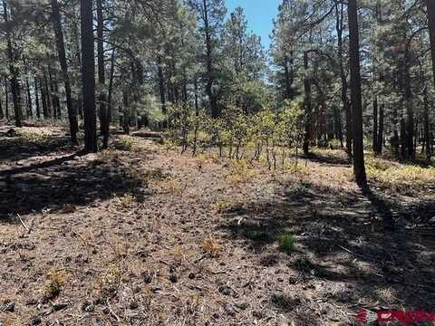 221 Badger Road, Bayfield, CO 81122