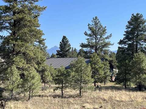 29 Monastery Court, Pagosa Springs, CO 81147