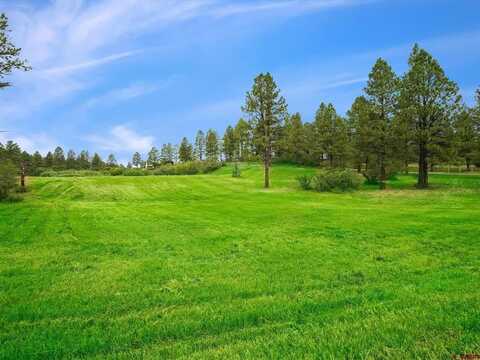 XE E Morning Glory Drive, Pagosa Springs, CO 81147