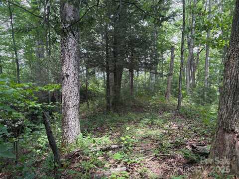 Early Frost Place unit: 98, Waynesville, NC 28785