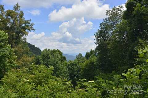 999 Red Wolf Run unit: 48, Mars Hill, NC 28754