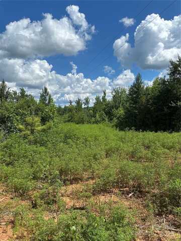 Mauney Road, Bessemer City, NC 28016