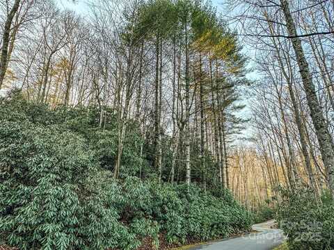 D17 Caroline Lane, Pisgah Forest, NC 28768