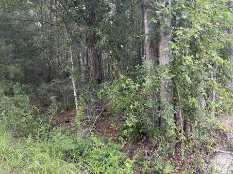 0 Walker Road, Ridgeville, SC 29472