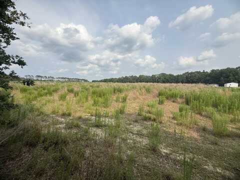 Qaf C3 Rainbow Drive, Wagener, SC 29164