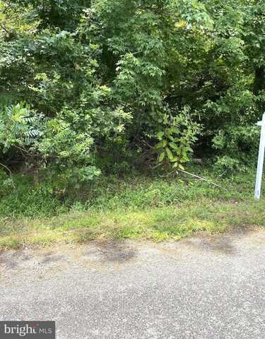 COLONIAL CIRCLE, COLONIAL BEACH, VA 22443