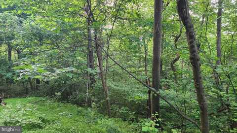 50 OAK RIDGE TRAIL, FAIRFIELD, PA 17320
