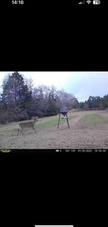 2089 Hwy 131, Baker Hill, AL 36027