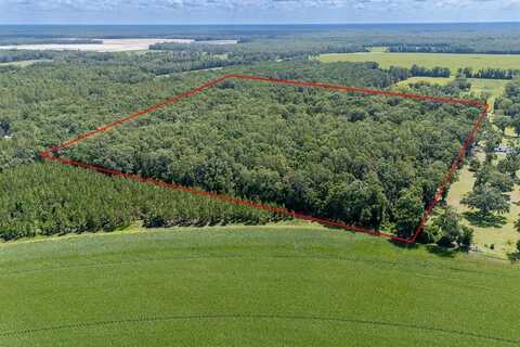 8289 Hwy 349, Old Town, FL 32680