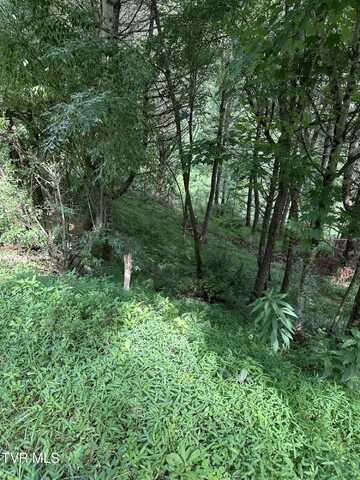 Lot 9 Laurelwood Lane, Mountain City, TN 37683