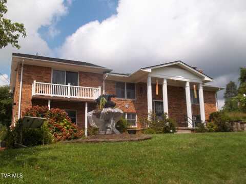 313 Milburn Avenue, Kingsport, TN 37660