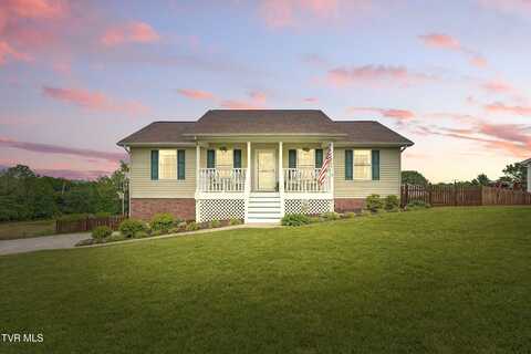 207 Lindsay Lane, Gray, TN 37615