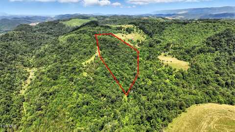 Tbd Rushing Road, Castlewood, VA 24224