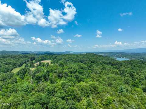 133 Acres Devault Bridge Road, Piney Flats, TN 37686