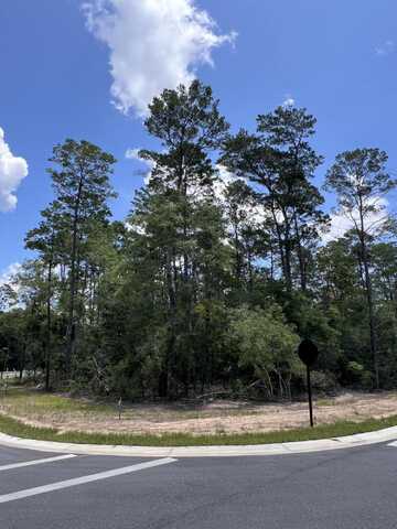 258 Foxglove Run, Niceville, FL 32578
