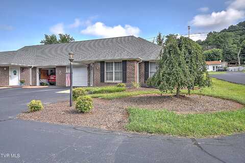 2425 East Lakeview Drive, Johnson City, TN 37601