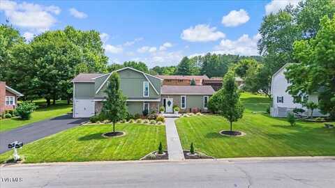 1207 Tanglewood Drive, Greeneville, TN 37743