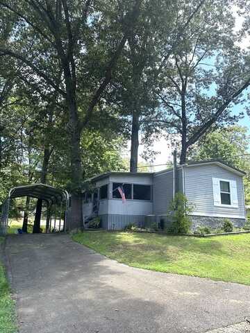 65 Tamworth Drive, SPRINGVILLE, TN 38256