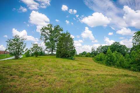15 acres Willow Grove Hwy, ALLONS, TN 38541