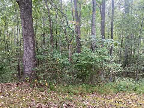 LOT 1 ARROW TRAIL, MONTEREY, TN 38574