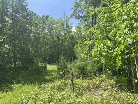 TBD 40 Acres Wilderness, Crystal Falls, MI 49920
