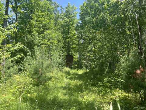 TBD 40 Acres Wilderness, Crystal Falls, MI 49920