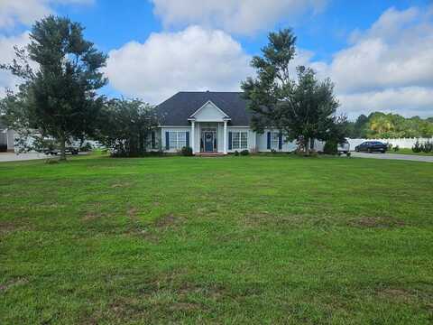 253 Lakeview Cir, Nashville, GA 31639