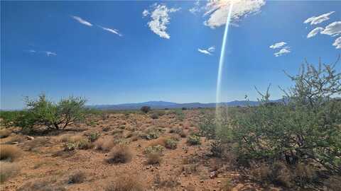 N Tyree Road, Hackberry, AZ 86411
