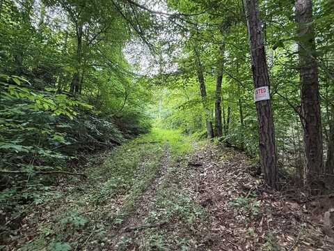 4000 Left Fork Maces Creek Rd, Viper, KY 41774