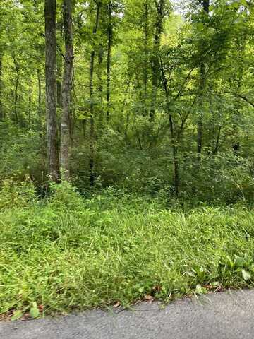 16165 Brushy Rd, Pikeville, KY 41501