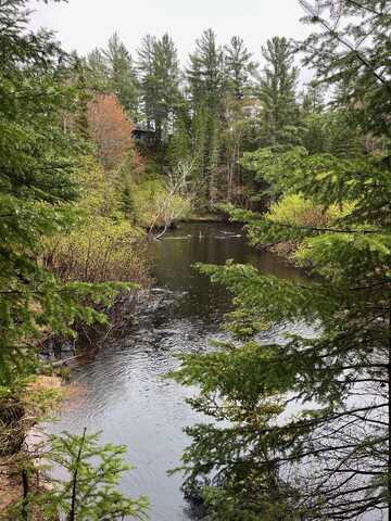 Coast Guard Road, Newberry, MI 49868
