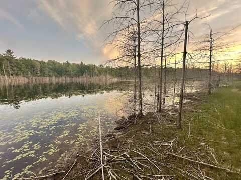 Co Rd 455 Deadman Lk, Mc Millan, MI 49853
