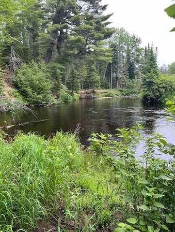 Coast Guard Road, Newberry, MI 49868