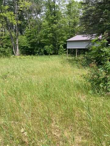 7347 Paradise TRL, Carp Lake, MI 49718