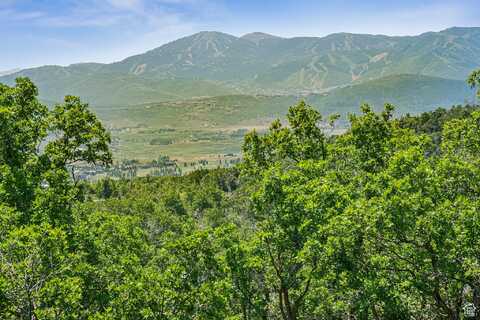 1520 PRESERVE, Park City, UT 84098