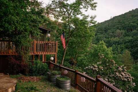 174 Little Rock Creek Court, Cherry Log, GA 30522