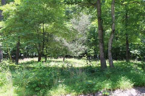 000 Perry Springs Road, Eddyville, KY 42038