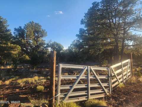 26 County Rd 3323, Vernon, AZ 85940