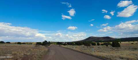 1 & 3 County Road 5088, Concho, AZ 85924