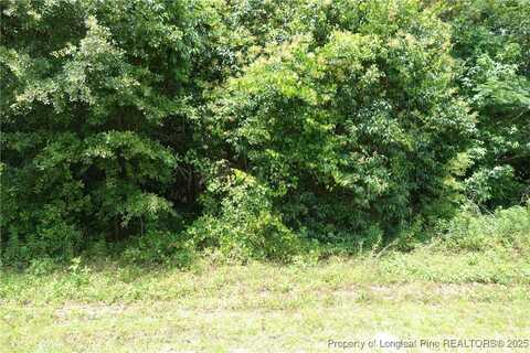 NC 41 Highway, Fairmont, NC 28340