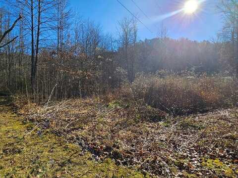 24.74 Ac East Fork, Sylva, NC 28779
