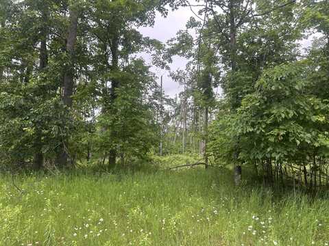 V/L Wheeler Road, Johannesburg, MI 49751