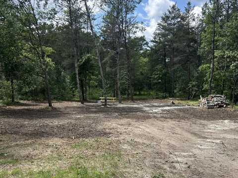 W Roberta Drive lot: # 21, Roscommon, MI 48653
