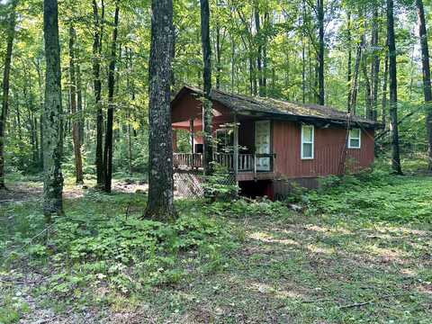4983 Blackberry Lane, Elmira, MI 49730