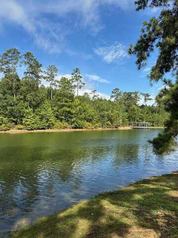 1131 Whitstone Road, Lincolnton, GA 30817