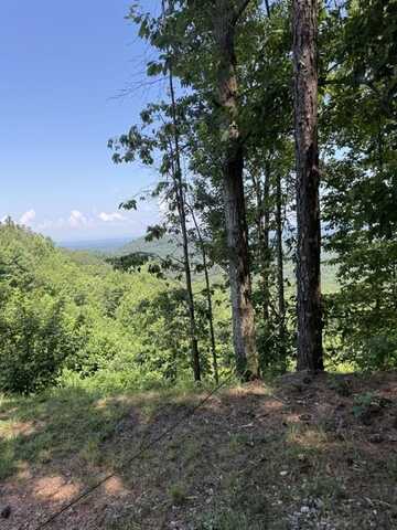 1588 Paladin Drive, Ranger, GA 30734