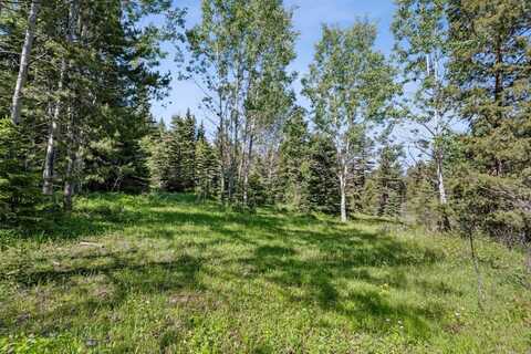 Smokey Mountain Drive, Anaconda, MT 59711