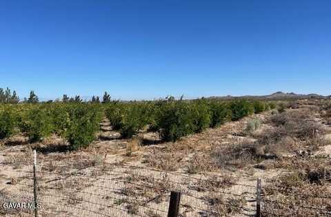 Cor Palmdale Pav Longvi, Sun Village, CA 93543