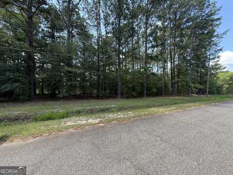 0 Fairway Lane, Hawkinsville, GA 31036